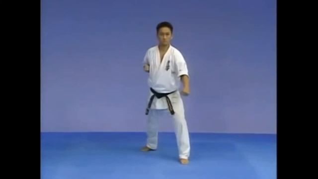 Ката Тайкёку соно Сан Киокушинкай (Taikyoku Sono San Kyokushinkai)