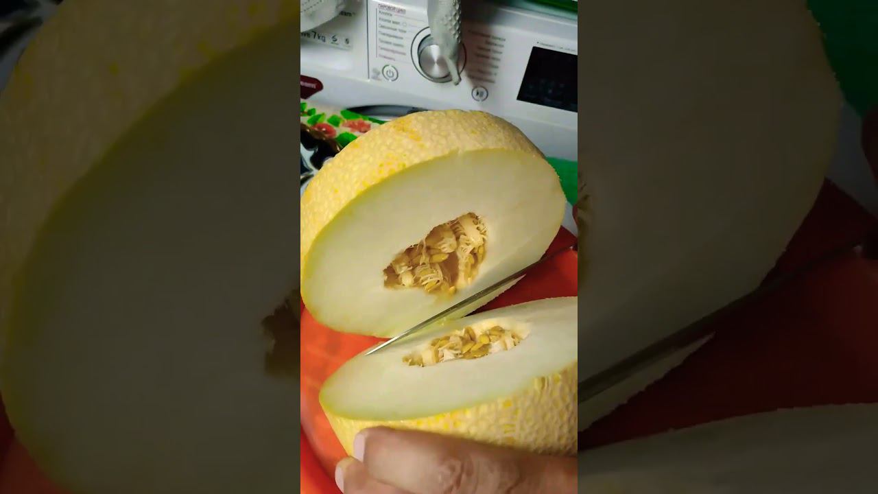 Узбекистан,Сладкая дыня