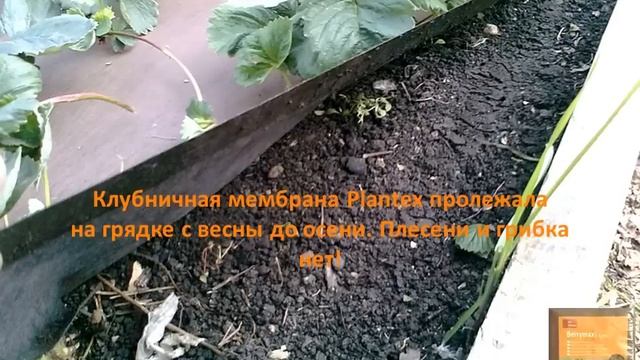 Садовые мембраны Plantex.wmv