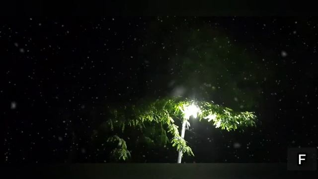 Страшная история-ОНО СТУЧИТ В ОКНО