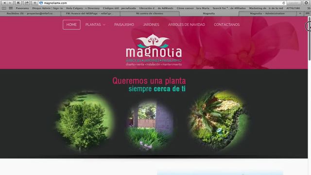 MAGNOLIA MENU смотреть онлайн
