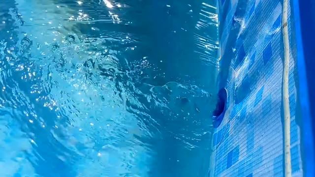 Альтернатива штатному фильтру бассейна / Alternative To The Regular Pool Filter