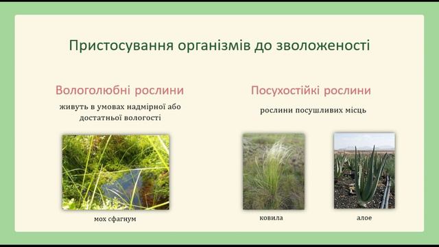 Пристосування організмів до життя в наземно-повітряному середовищі смотреть онлайн