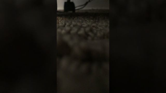 Rallying Song (For Abraham Lincoln and Hannibal Hamlin) [1860] | Republican Campaign Song смотреть онлайн