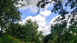 Благие стремления, которые губят