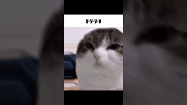 20 САМЫХ НЕЛЕПЫХ И СМЕШНЫХ МОМЕНТОВ, СНЯТЫХ НА КАМЕРУ смотреть онлайн