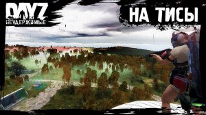 №8 DayZ НЕУДЕРЖИМЫЕ - НА ТИСЫ (сезон: лето 2023, патч 1.21)