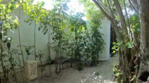 Мальдивы Dreamland The Unique Sea & Lake Resort