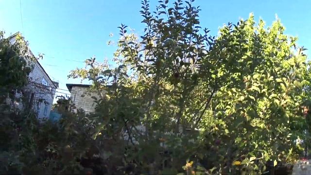 Как снимать видео рецепт для Инстаграмм Как улучшить контент на ютубе смотреть онлайн