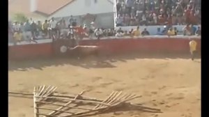 Коррида пошла не по плану