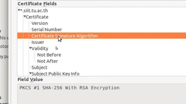 Digital Certificates in Firefox (ITS335, L20, Y15) смотреть онлайн