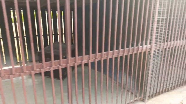 Анапа. Вулкан "Тиздар". Стоит ли ехать на него. Живой уголок. Обзор. смотреть онлайн