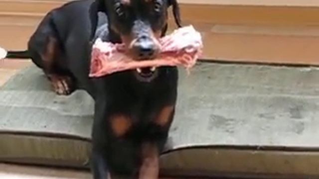Мое видео смотреть онлайн