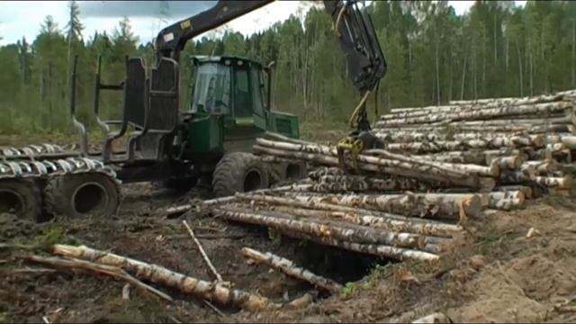 Лес - наше богатство смотреть онлайн