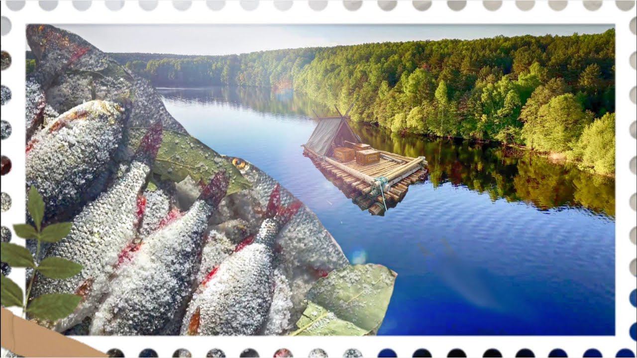 ПОХОД С РЫБАЛКОЙ НА КРАБОЛОВКУ. НОЧУЕМ В ПАЛАТКЕ УП-2, ЗМЕИ ПРИХОДЯТ К НАМ В ГОСТИ, МОШКА АТАКУЕТ. смотреть онлайн