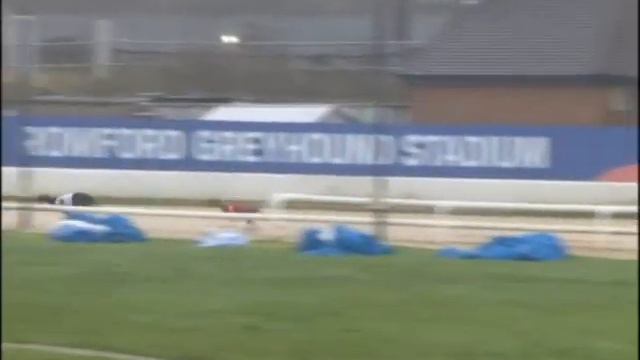 Trials 1-13 at Romford Greyhound Stadium 13.01.21 смотреть онлайн