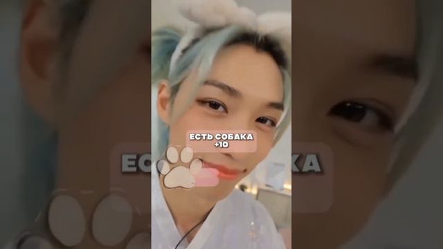 На сколько вы на меня похожи? #kpop #кпоп #реки #стрейкидс #рекомендации #сынмин #kpop #рекомендаци смотреть онлайн