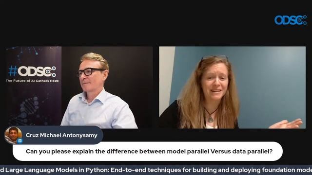 Lightning Interview "Pretrain Vision and Large Language Models in Python" смотреть онлайн