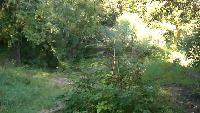 Иду вдоль тропы, реки Пахра (4) смотреть онлайн