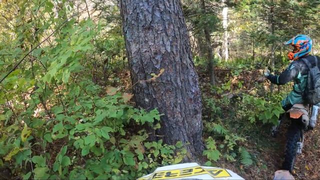 Золотая осень встречает МОТОгонов из Партизанска!04.10.2020г. смотреть онлайн