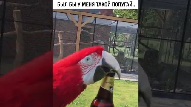  смотреть онлайн