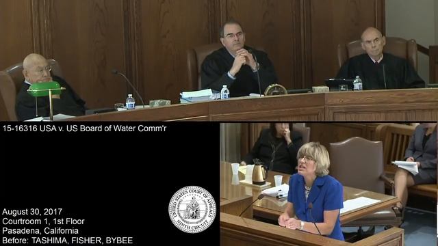 15-16316 USA v. US Board of Water Comm'r смотреть онлайн