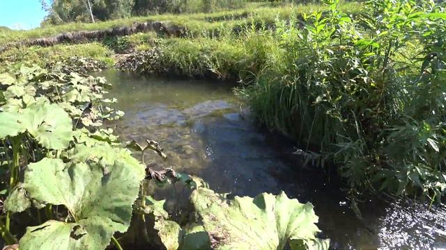 Летний поход на реку Кинтереп-приток Суенги смотреть онлайн