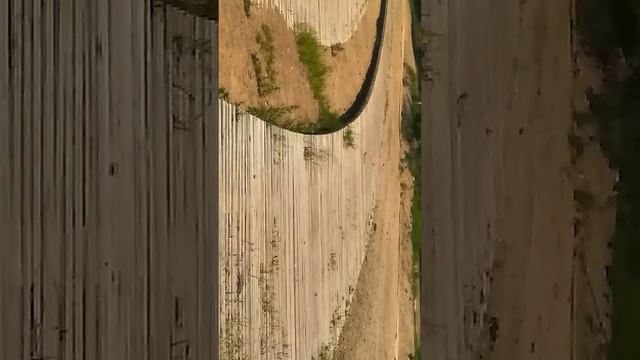 Моё лето в Красноярске смотреть онлайн