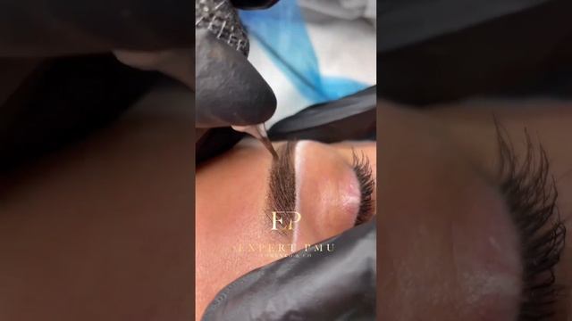 Обновление татуажа бровей #перманентныймакияж #бровей #татуаж смотреть онлайн