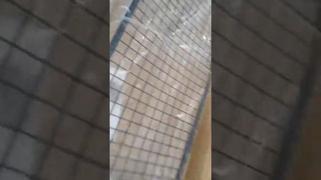 Nissan X Trail T32 Ниссан Х Трейл Т32 Разделительная решетка багажного отсека новый оригинал смотреть онлайн