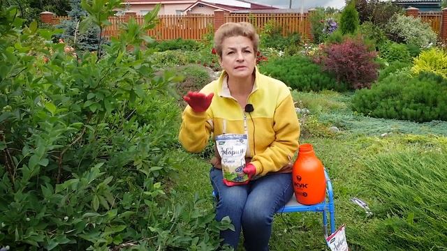 Подкормите срочно - голубика будет крупнее смотреть онлайн