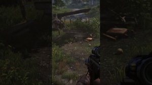 Баг в Far Cry 4 - Глюк объектов