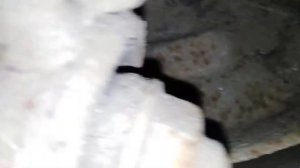 Замена задних амортизаторов на VW T5 Multivan