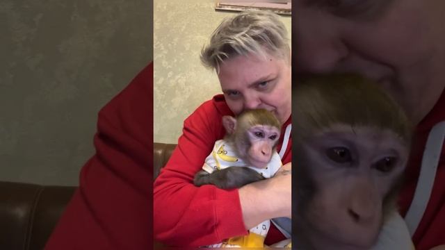 Мальчишки вернулись домой ❤️?❤️спасибо @MonkeyPride за заботу о мои малышах ?❤️? смотреть онлайн