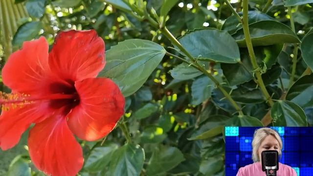 Доярка из деревни привезла в особняк миллиардера новорожденного сына. Но её там ждал сюрприз...