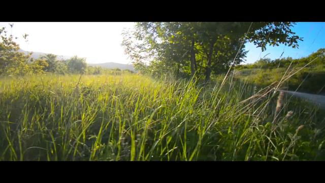 Новороссийск | СНТ Василёк | Васильевка | 14.05.2022 | Nikon d7110 footage смотреть онлайн