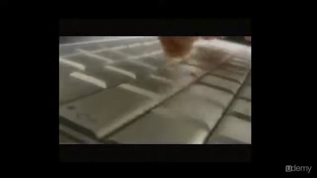 SQL Server for Beginners смотреть онлайн