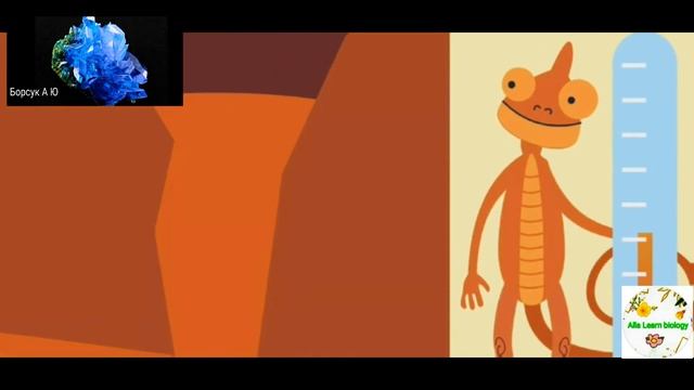 Полезные ископаемые.Природоведение 2-3 класс. смотреть онлайн