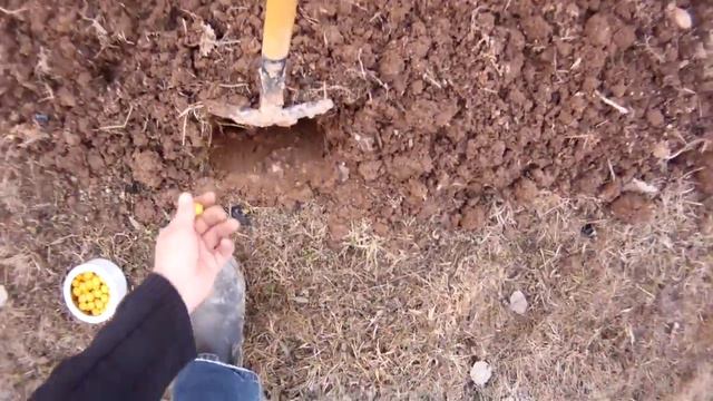 DETIA средство для отпугивания кротов шарики с запахом Лаванды смотреть онлайн