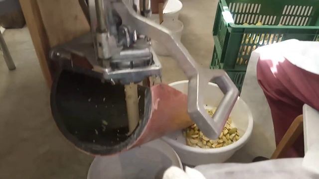 Cidoniju griešana ( Quince cutting) смотреть онлайн