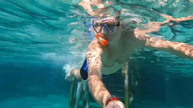 Снорклинг у отеля , Сахль Хашиш Хургада Египт смотреть онлайн