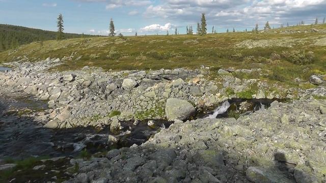 Саяны, поход , пешка- Тукша, - река Янга-2015г смотреть онлайн