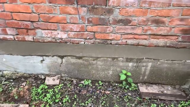 Купили хату на Кубани?продолжаем спил?наш Первомай?♀️забытое видео? смотреть онлайн