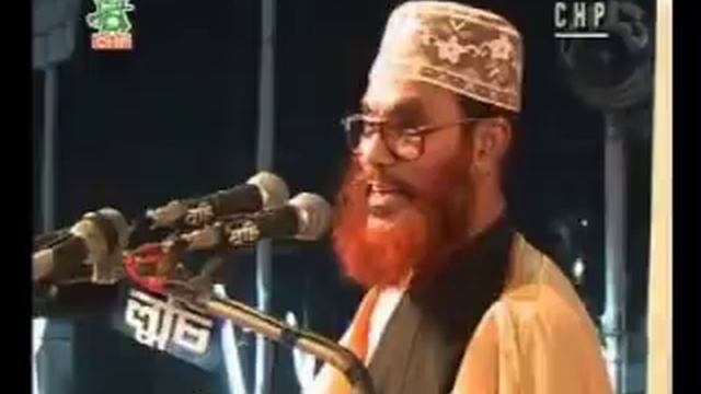 Bangla Waz Delwar Hossain Saidi