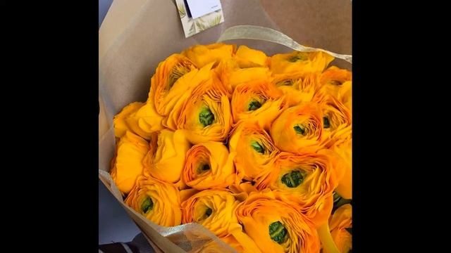 букет из белых роз виктор