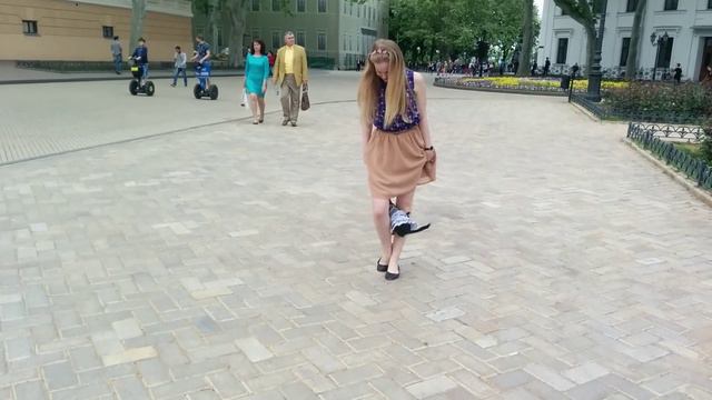 Умная и веселая чихуа-хуа! смотреть онлайн