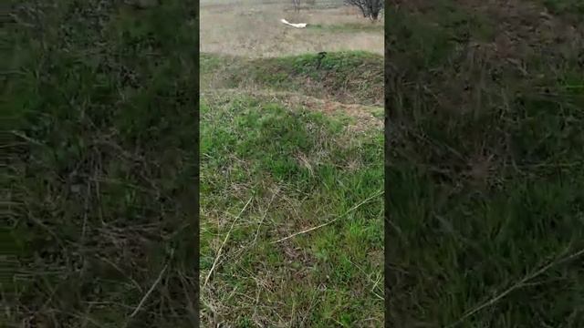 здесь была насосная станция смотреть онлайн