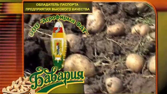 Картофель Агрофирмы ФАТ смотреть онлайн