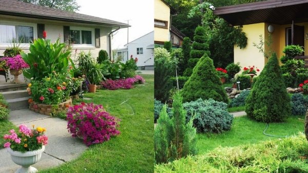 ?Отличные идеи для ландшафтного дизайна / The best examples of landscape design / A - Video