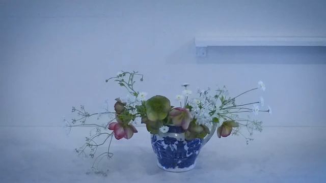 Today’s Flower 48 HELLEBORUS×HYBRIDUS,ALLIUM NEAPOLITANUM,CORIANDER,TANACERUM PARTHENIUM, 他 смотреть онлайн
